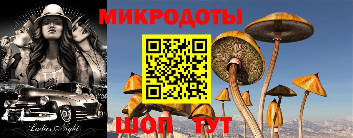 Псилоцибиновые грибы мухоморы  Псилоцибиновые грибы ЛСД  Вход с VPN  Гусиноозёрск 