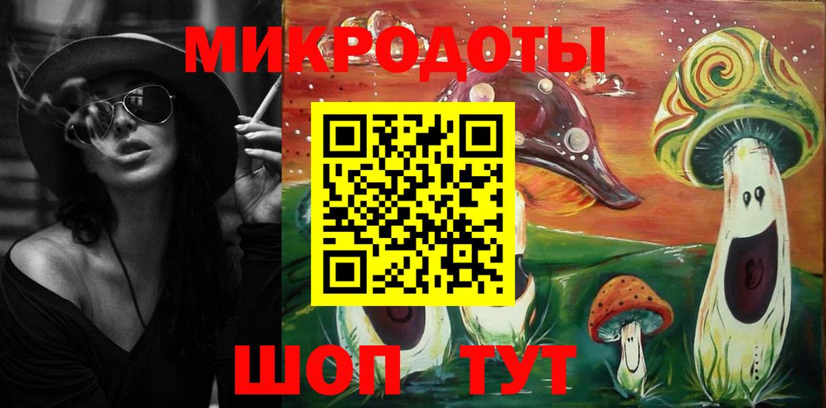 Галлюциногенные грибы Psilocybine cubensis Гусиноозёрск